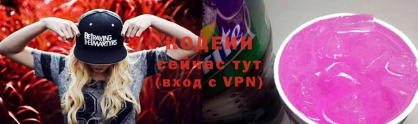 соль ск Верхний Тагил