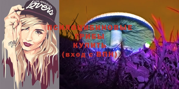 соль ск Верхний Тагил
