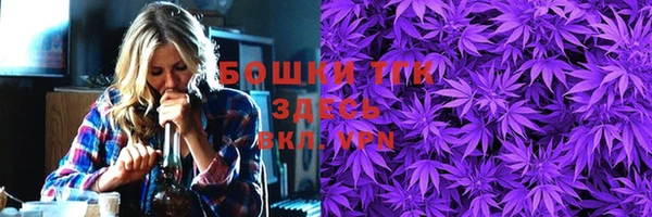 соль ск Верхний Тагил
