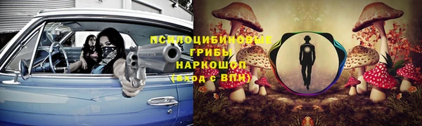 соль ск Верхний Тагил